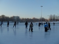 Zdjęcie w galeri