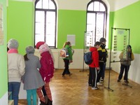 Zdjęcie w galeri