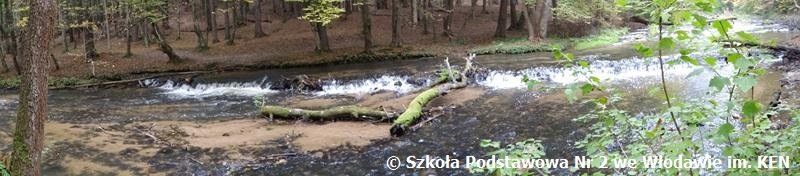 puszczasolska11.jpg