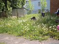DSC01645