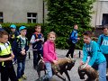 IMG_20160519_144631