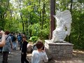 IMG_20160520_115515